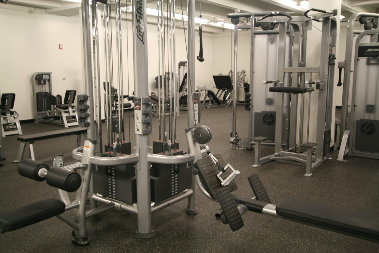 Rows of cable, row, and resistance machines filling a large commercial gym floor